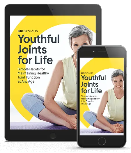 Bonus 2: Youthful Joints For Life SEO