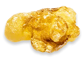Boswellia Serrata Extract SEO