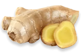 Ginger Root Extract SEO